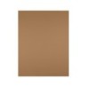 Cartulina liderpapel 50x65 cm 180 gr marron escolar unidad