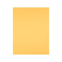 Cartulina liderpapel 50x65 cm 180 gr oro unidad
