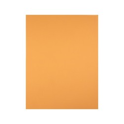 Cartulina liderpapel 50x65 cm 180 gr avellana unidad