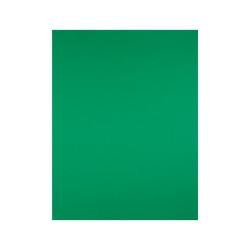 Cartulina liderpapel 50x65 cm 240g/m2 verde navidad paquete de 25 hojas