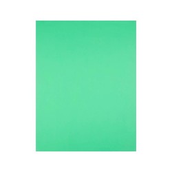 Cartulina liderpapel 50x65 cm 240g/m2 verde pistacho paquete de 25 hojas