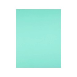 Cartulina liderpapel 50x65 cm 240g/m2 verde paquete de 25 hojas