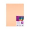Cartulina liderpapel 50x65 cm 240g/m2 sepia paquete de 25 hojas