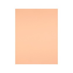 Cartulina liderpapel 50x65 cm 240g/m2 sepia paquete de 25 hojas