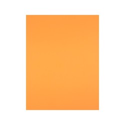 Cartulina liderpapel 50x65 cm 240 g/m2 nectarina