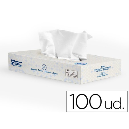 Pañuelo tissu 2 capas 21x20,7 cm caja de 100 unidades
