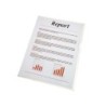 Carpeta esselte dossier uñero plastico folio transparente 110 micras