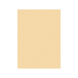 Fieltro liderpapel 50x70cm color carne 160g/m2