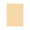Fieltro liderpapel 50x70cm color carne 160g/m2