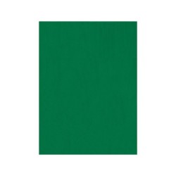 Fieltro liderpapel 50x70cm verde 160g/m2