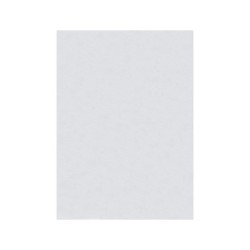 Fieltro liderpapel 50x70cm blanco 160g/m2