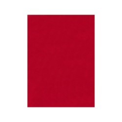 Fieltro liderpapel 50x70cm rojo 160g/m2