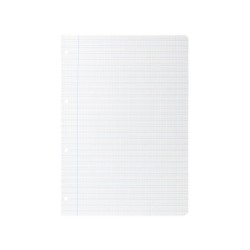 Recambio liderpapel a4 pautaguia 100 hojas 75 g/m2 cuadriculado pautado 2,5 mm con margen 4 taladros