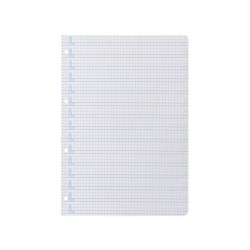 Recambio liderpapel a4 pautaguia 100 hojas 75 g cuadriculado pautado 5 mm con margen 4 taladros