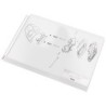 Funda multitaladro esselte din a3 80 mc polipropileno apertura superior pack de 10 unidades