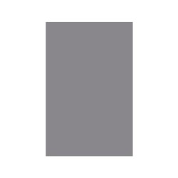 Cartulina liderpapel 50x65 cm gris 240 gr unidad
