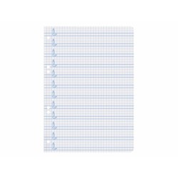 Recambio liderpapel cuarto pautaguia 100 hojas 75 g cuadriculado pautado 4 mm con margen 6 taladros