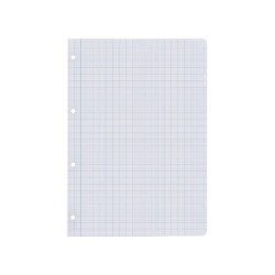Recambio liderpapel a4 100 hojas 100g/m2 cuadro 2mm con margen 4 taladros
