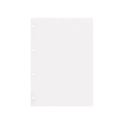 Recambio liderpapel a4 100 hojas 100g/m2 liso sin margen 4 taladros