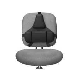 Respaldo ergonomico profesional fellowes