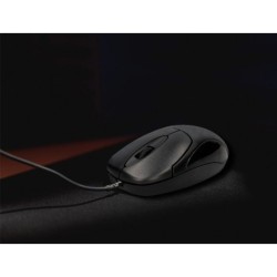 Raton q-connect optico 800 dpi usb 1,5 ghz negro