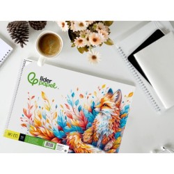 Bloc dibujo liderpapel escolar espiral 230x325mm 20 hojas 90 gr/m2 con recuadro