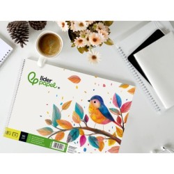 Bloc dibujo liderpapel escolar espiral 230x325mm 20 hojas 90 gr/m2 sin recuadro