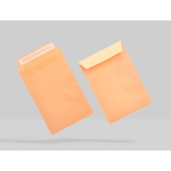 Sobre liderpapel bolsa n.0 cel caña salarios 100x145mm tira silicona caja de 1000 unidades