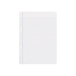Recambio liderpapel cuarto 100 hojas 60g/m2 horizontal con margen 6 taladros
