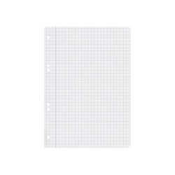 Recambio liderpapel cuarto 100 hojas 60g/m2 cuadro 8mm con margen 6 taladros