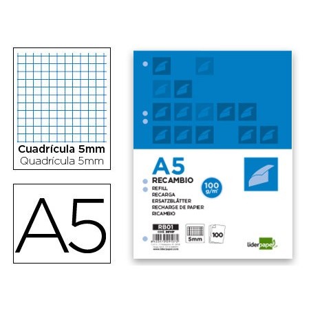 Recambio liderpapel a5 100 h 100g/m2 cuadro 5mm con margen 6 taladros