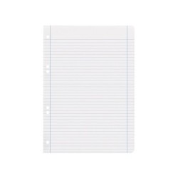 Recambio liderpapel a5 100 h 100g/m2 horizontal doble margen 6 taladros
