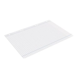 Recambio liderpapel a5 100 h 100g/m2 horizontal doble margen 6 taladros