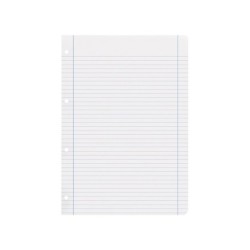 Recambio liderpapel a4 100 hojas 100g/m2 horizontal con doble margen 4 taladros