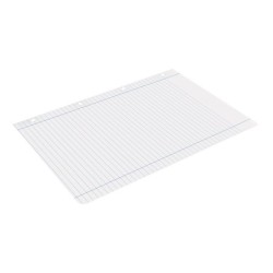 Recambio liderpapel a4 100 hojas 100g/m2 horizontal con doble margen 4 taladros
