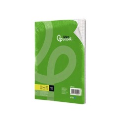 Recambio liderpapel a4 100 hojas 100g/m2 cuadro 5mm con doble margen 4 taladros