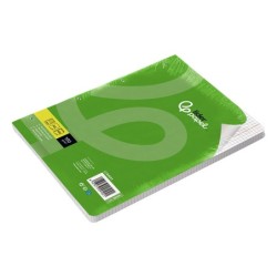 Recambio liderpapel a4 100 hojas 100g/m2 cuadro 5mm con doble margen 4 taladros