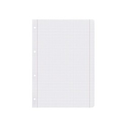 Recambio liderpapel a4 100 hojas 100g/m2 cuadro 5mm con doble margen 4 taladros