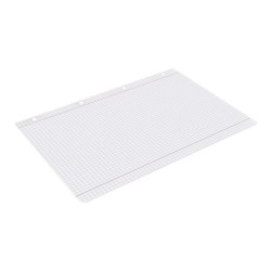 Recambio liderpapel a4 100 hojas 100g/m2 cuadro 5mm con doble margen 4 taladros