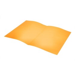 Subcarpeta liderpapel folio naranja intenso 180g/m2