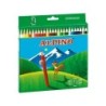 Lapices de colores alpino 658 caja de 24 colores largos