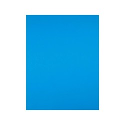 Cartulina liderpapel 50x65 cm 180g/m2 azul turquesa