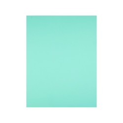 Cartulina liderpapel 50x65 cm 180g/m2 verde