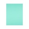 Cartulina liderpapel 50x65 cm 180g/m2 verde