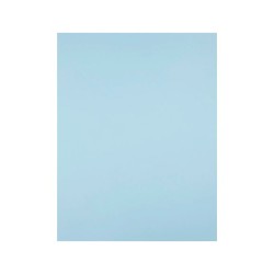 Cartulina liderpapel 50x65 cm 180g/m2 azul