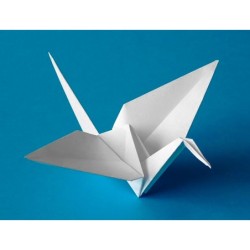 Cartulina liderpapel 50x65 cm 240g/m2 blanco