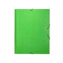 Carpeta clasificadora liderpapel 12 departamentos folio prolongado carton forrado verde claro