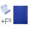 Carpeta clasificadora liderpapel 12 departamentos folio prolongado carton forrado azul