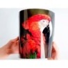 Papel q-connect foto glossy kf01103 din a4 digital photo para ink-jet bolsa de 20 hojas de 180 gr