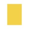 Cartulina liderpapel a4 180g/m2 oro paquete de 100 hojas